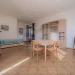 Mirella Un Panorama Sull'innamorata - Goelba Apartment Capoliveri (Isola d'Elba)